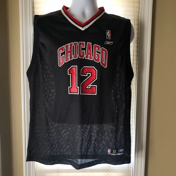NBA Chicago Bulls Basketball Jersey #12 Hinrich
